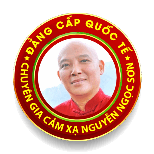 CHUYÊN GIA CẢM XẠ NGUYỄN NGỌC SƠN